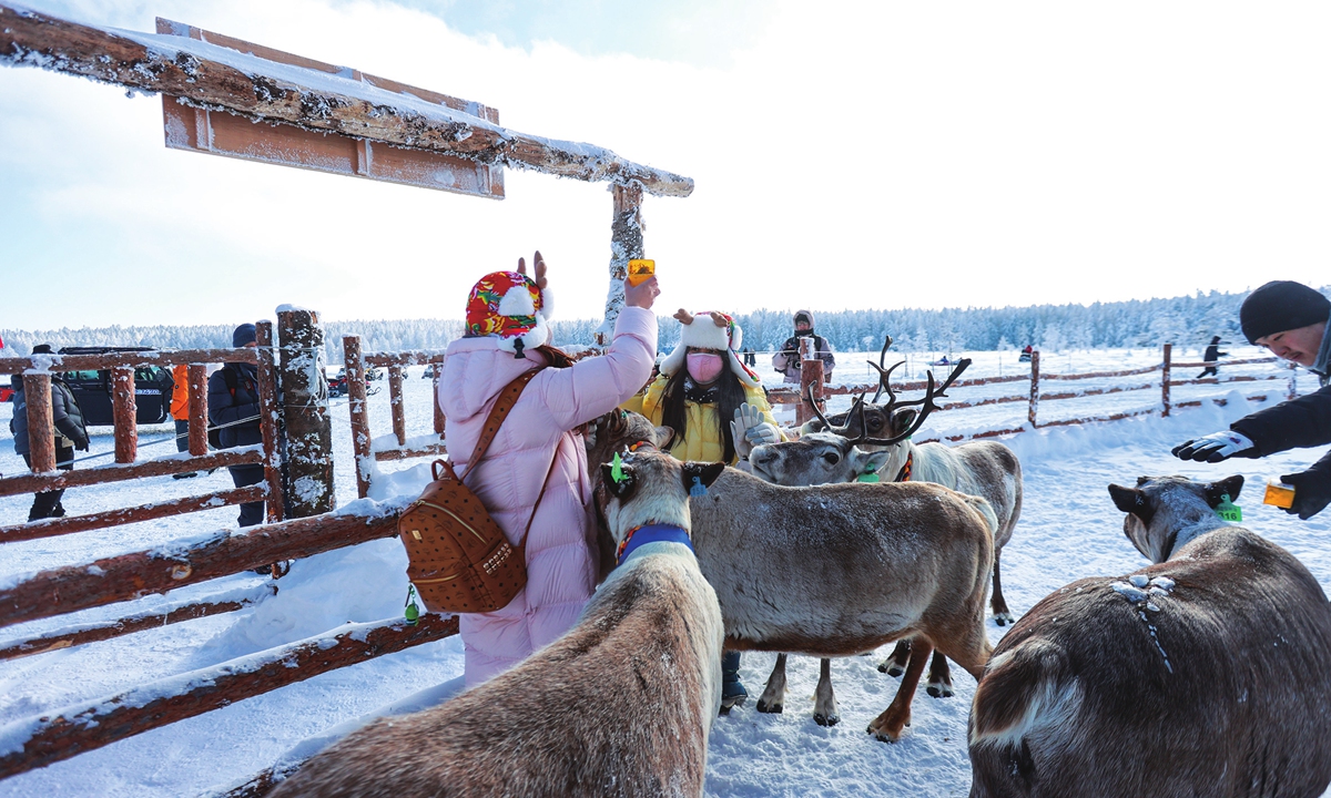 Tourists interact with reindeers in Helong, Northeast China's Jilin Province, on January 17, 2026.