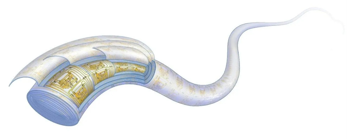 Fiber-based chip Photo: file