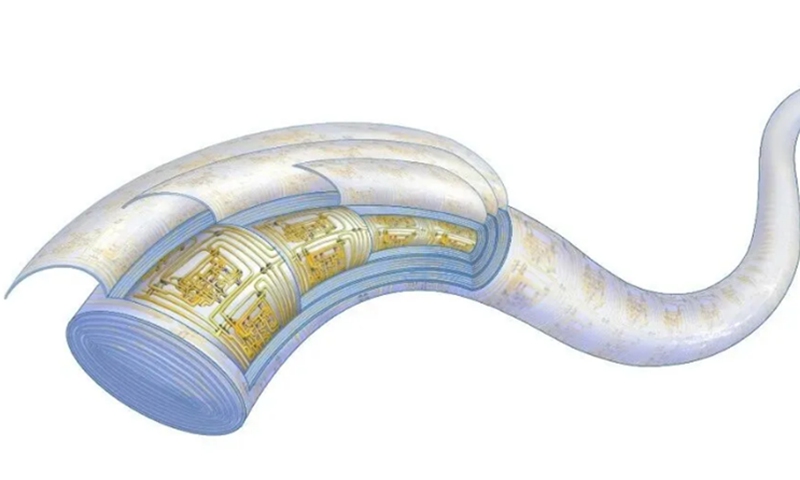 Chinese research team from Fudan University develops fiber-based chip, to boost brain-computer interface sector