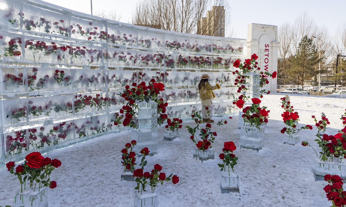 A visitor stands in front of a new romantic ice rose wall in Jilin City, Northeast China's Jilin Province on January 25, 2026. The ice rose wall has become another popular romantic photo spot in the northern river city of Jilin, attracting both residents and tourists to visit and take pictures. Photo: VCG