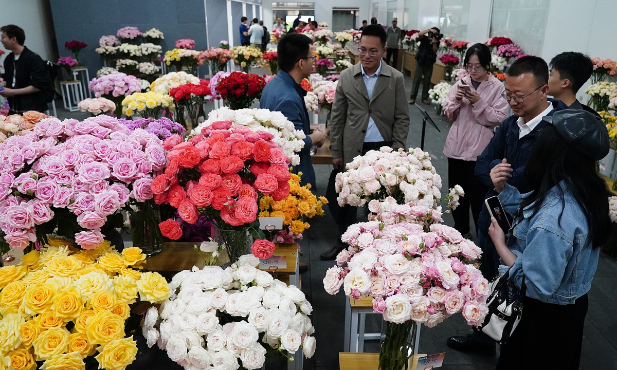 Visitors view new varieties of roses at the rose innovation achievement recommendation conference in Kunming, Southwest China's Yunnan Province, on May 18, 2025.  Photo: VCG