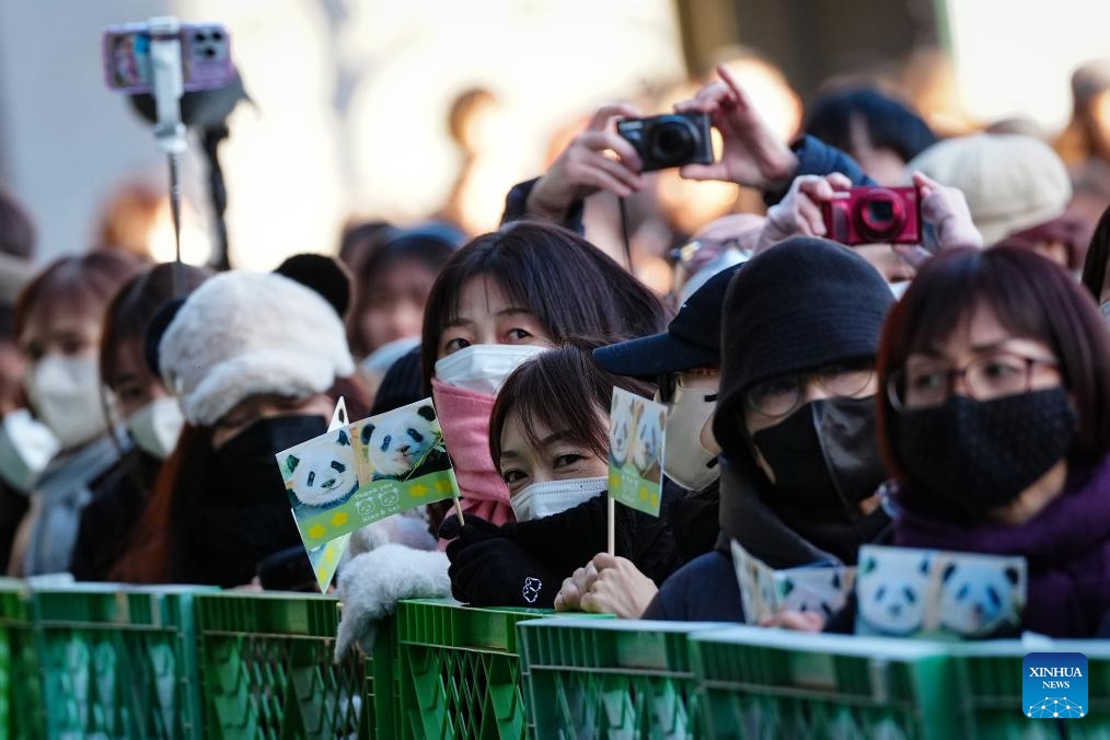 Visitors hold banners bearing images of giant pandas Xiao Xiao and Lei Lei at Ueno Zoo in Tokyo, Japan, Jan. 25, 2026. Giant pandas Xiao Xiao and Lei Lei, currently residing at a zoo in Tokyo, will depart for China on Jan. 27, marking the first time in about half a century that Japan will be without any pandas, local media reported. (Xinhua/Jia Haocheng)