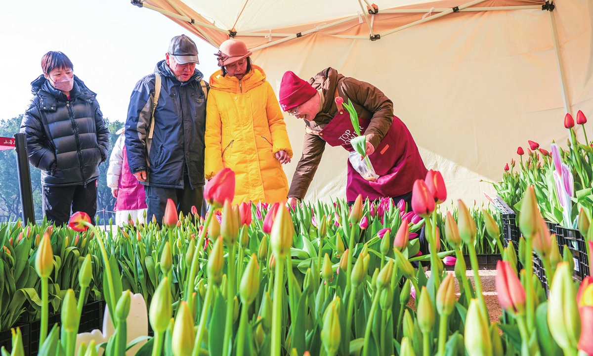 Citizens select flowers at a Chinese New Year flower market in Shanghai, on January 24, 2026. Photo: Courtesy of Wang Jinxiu 