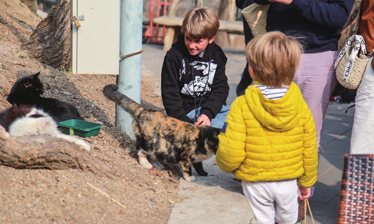 Tourists interact with a cat at the Mutianyu section of the Great Wall scenic area on March 10, 2025. 