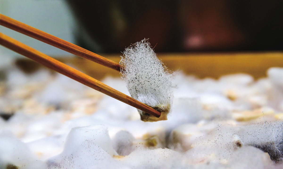 A cook checks the tofu for mold and other signs of fermentation. Photos on this page: VCG