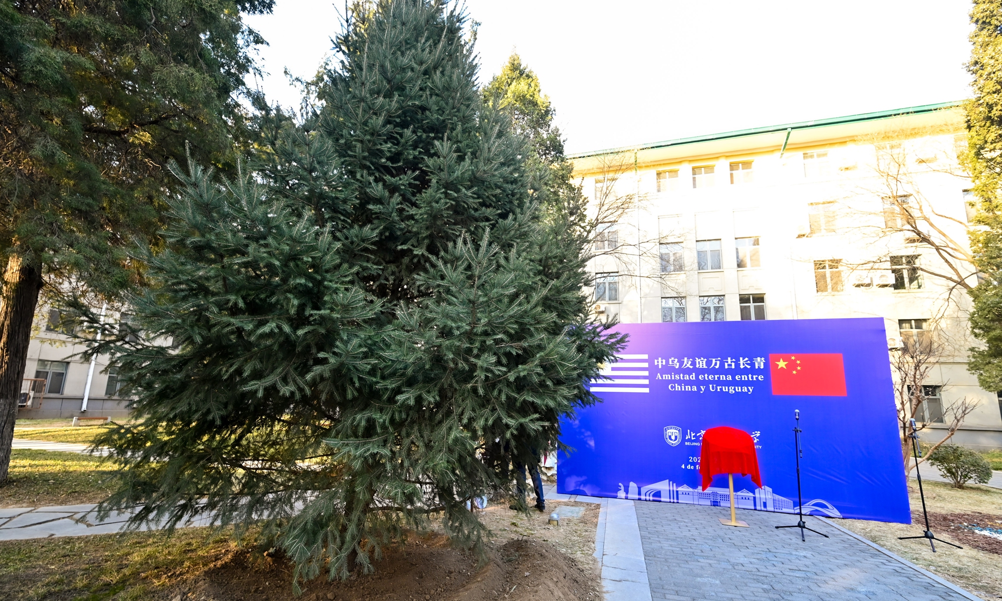 Uruguayan president visits university in Beijing, highlighting flourishing China-Uruguay cultural exchanges