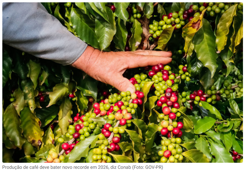 Photo: screengrab from the official website of Brasil 247