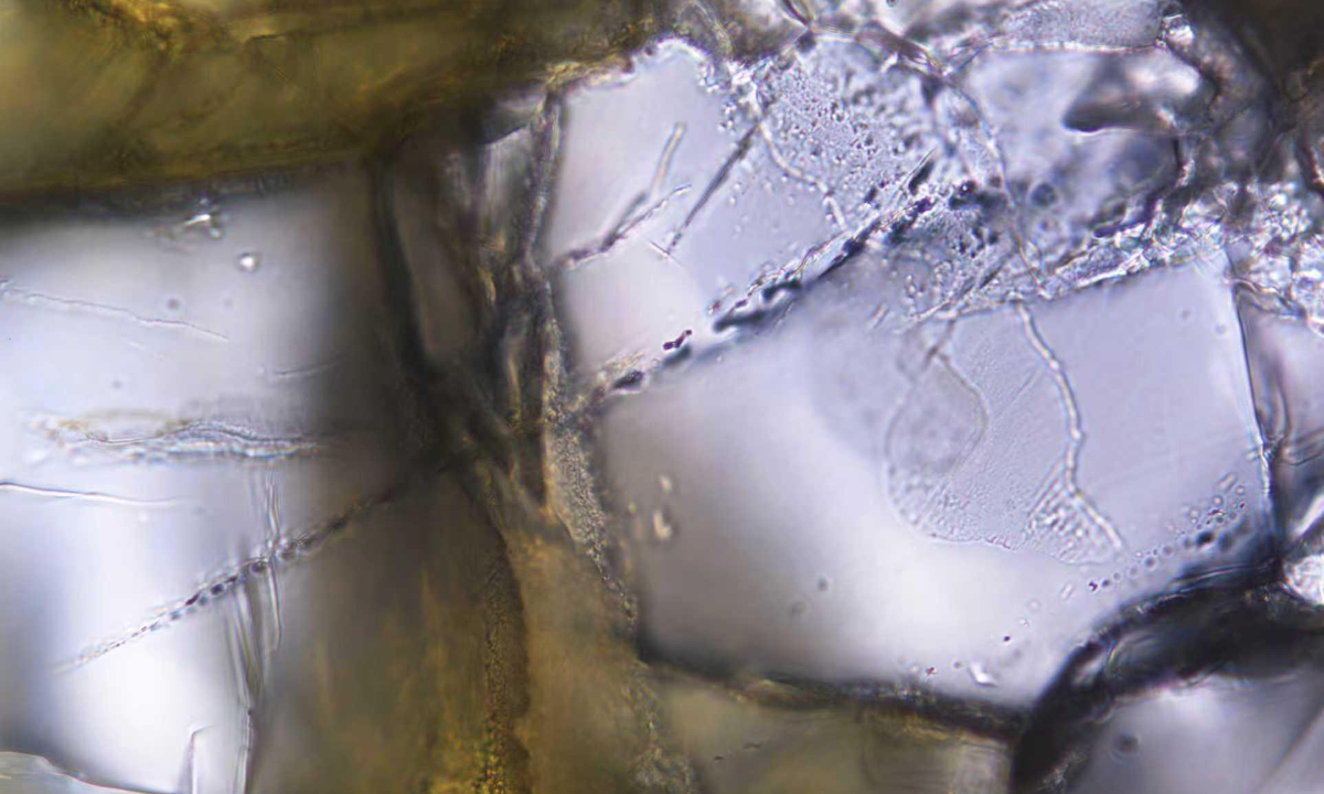 Micron-scale fluid inclusions containing natural hydrogen are arranged in linear patterns and preserved within mantle olivine minerals. Photo: Courtesy of Institute of Geology and Geophysics under the Chinese Academy of Sciences