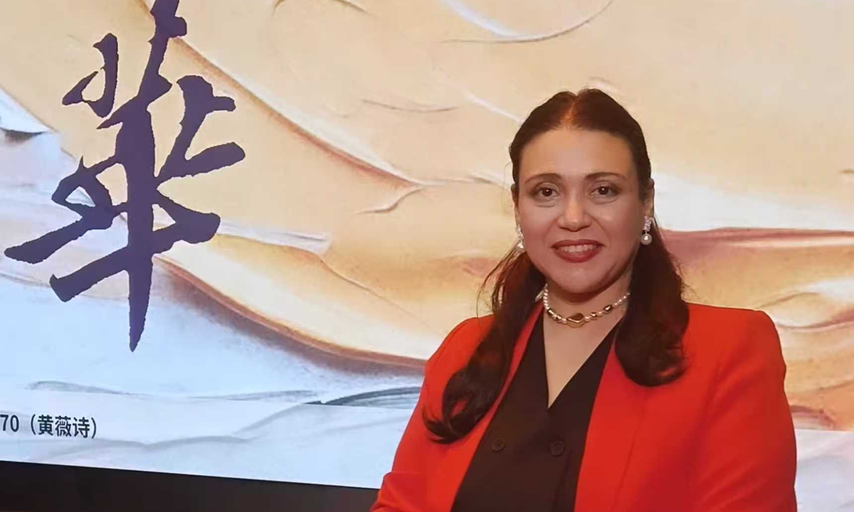 Spring Festival celebrations show perfect fusion of tradition, modernity: Egyptian sinologist