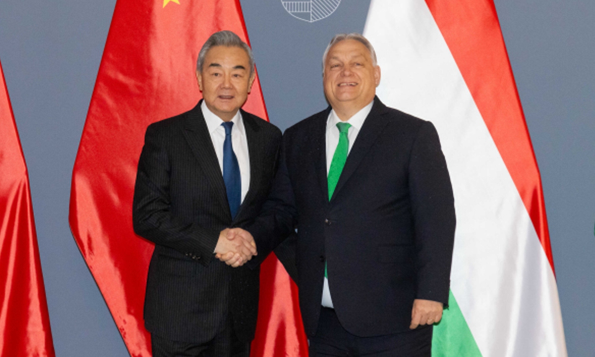 Successful story of China-Hungary cooperation will have demonstrative effect for Europe: Chinese FM
