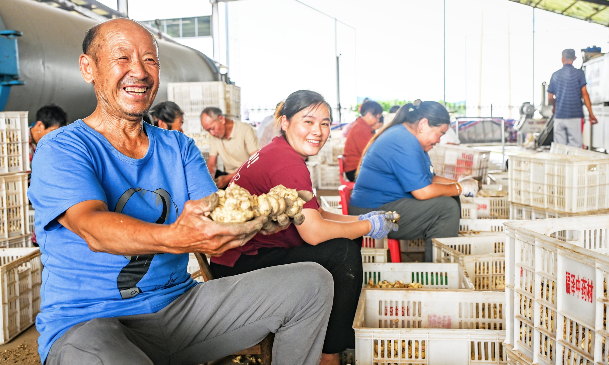 Villagers from Tiantang village in Yingshan county sort traditional Chinese medicinal materials. Photo: Courtesy of the Publicity Department of Yingshan county