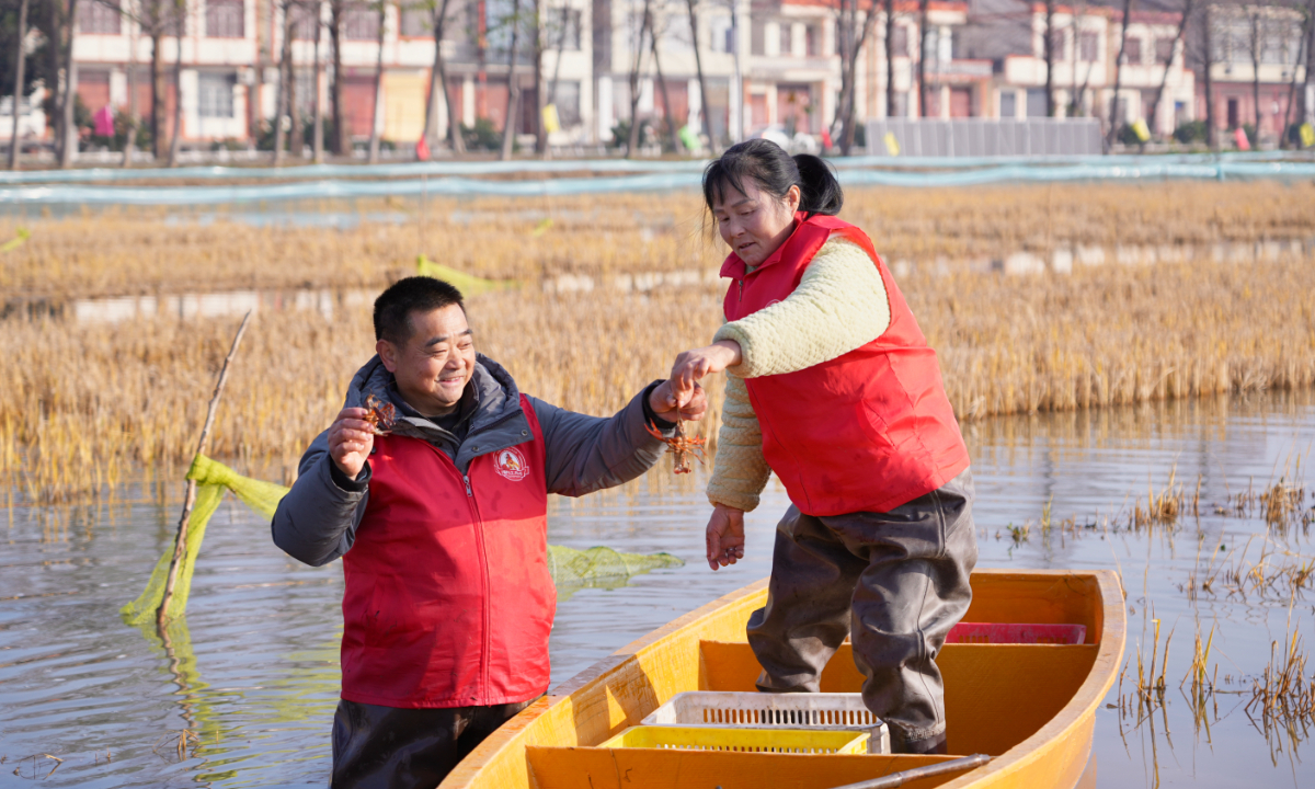 Two farmers harvest crayfish at Si Ji You Xia crayfish breeding farm in Qianjiang, Central China's Hubei Province on December 26, 2025. Photo: Ai Shuai