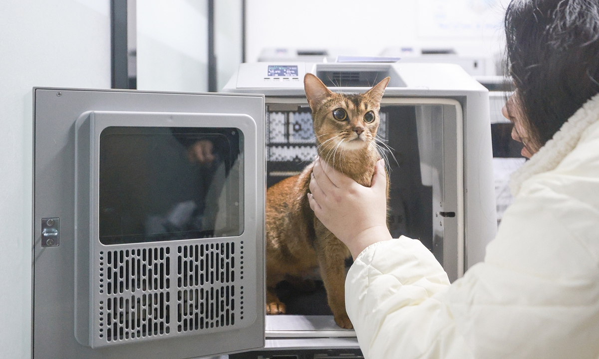 A pet owner checks in her pet cat for travel at the Beijing South Railway Station on February 25, 2026. China Railway Express Co, Ltd has revealed that since the start of this year's Spring Festival travel rush, the company has handled more than 4,000 pets nationwide, representing a significant increase compared with the pre?Spring Festival travel rush period. Photo: VCG