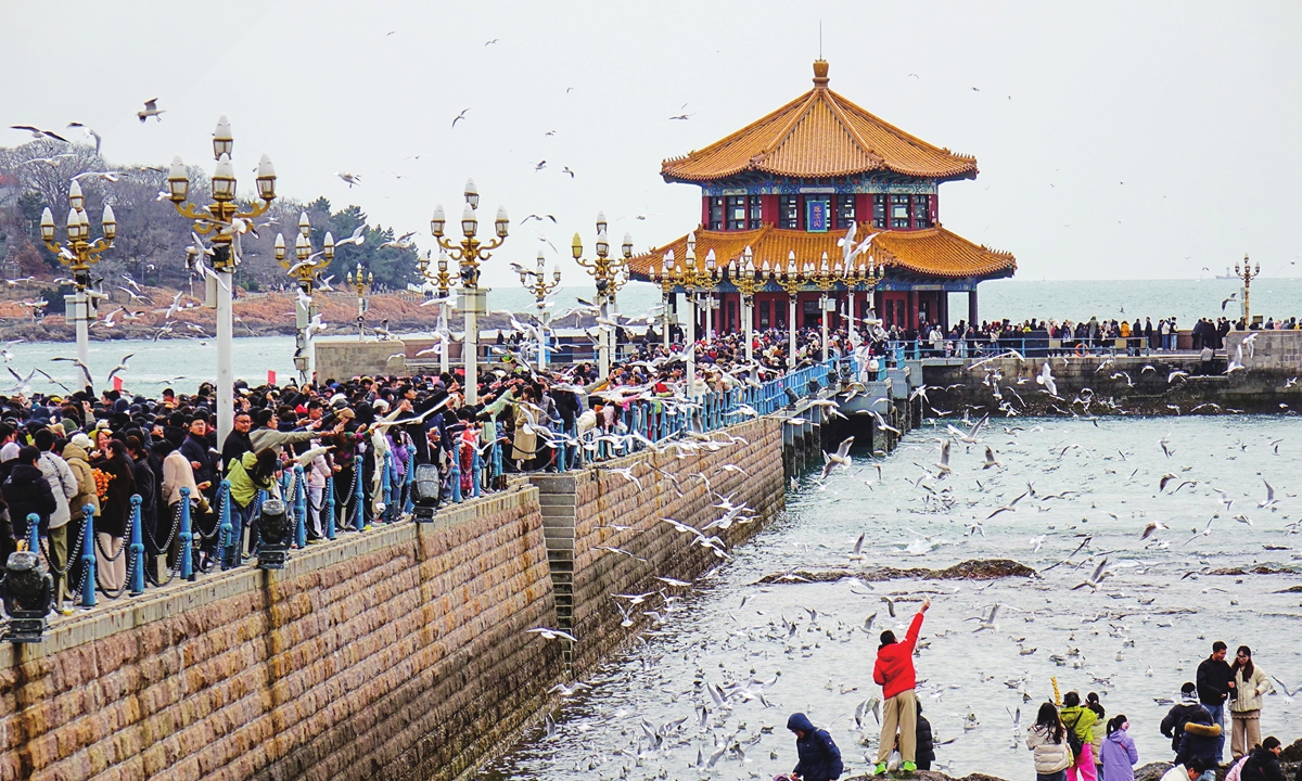 Visitors feed the seagulls at the Zhanqiao Pier scenic spot in Qingdao, East China's Shandong Province, on February 23, 2026. Photos on this page: VCG