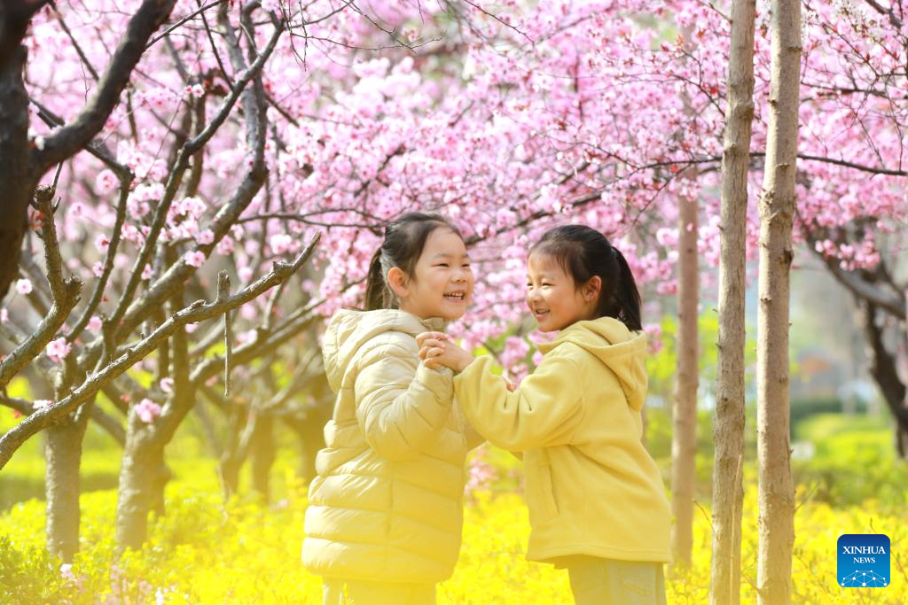Children have fun at a park in Gaomi, east China's Shandong Province, March 31, 2026. Qingming Festival, or Tomb-Sweeping Day, falls on April 5 this year. It is a traditional Chinese festival for people to pay tribute to the dead and worship their ancestors. The holiday also provides a short break for Chinese citizens as they engage in outdoor activities and sightseeing. (Photo by Li Haitao/Xinhua)