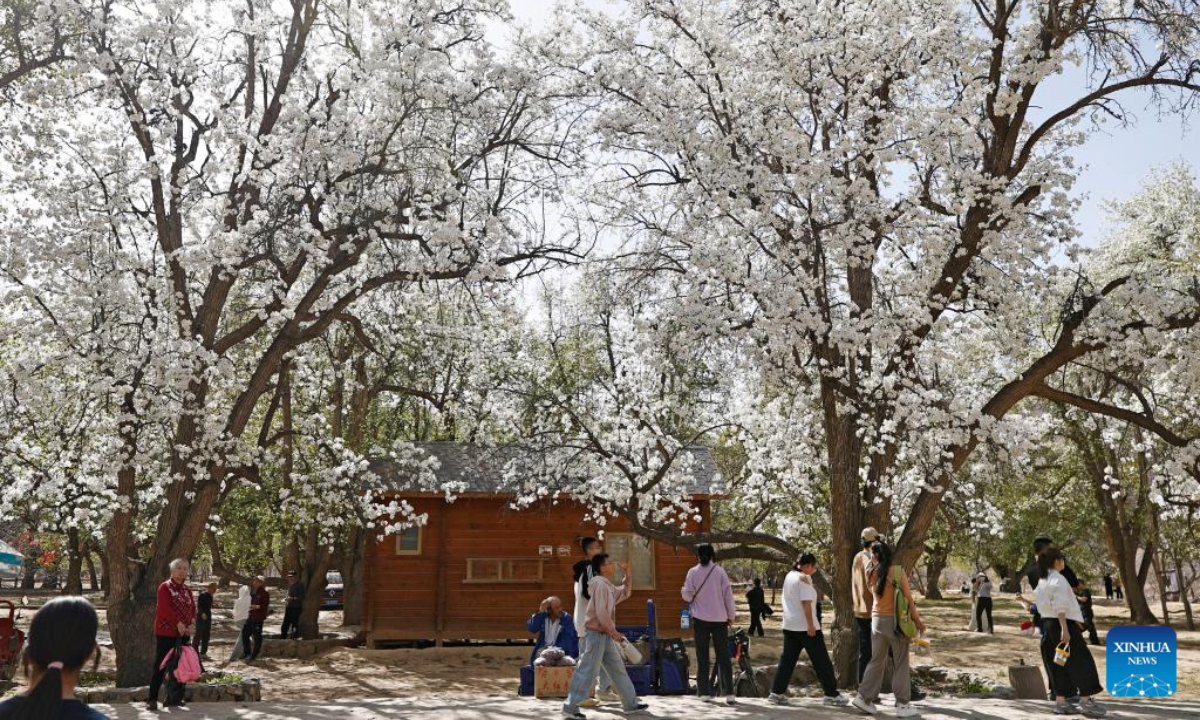 Tourists view pear trees in full bloom at Nanchangtan Village in Zhongwei, northwest China's Ningxia Hui Autonomous Region, April 6, 2026. The village is home to hundreds of old pear trees, the oldest of which is over 600 years old. This natural wonder has made the village a popular tourist destination. Every April, the local government holds a 