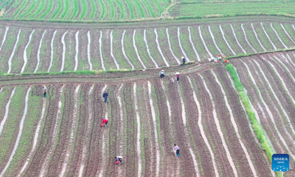 An aerial drone photo taken on April 7, 2026 shows villagers working in the fields in Shitan Township of Hengdong County in Hengyang, central China's Hunan Province. (Photo by Cao Zhengping/Xinhua)