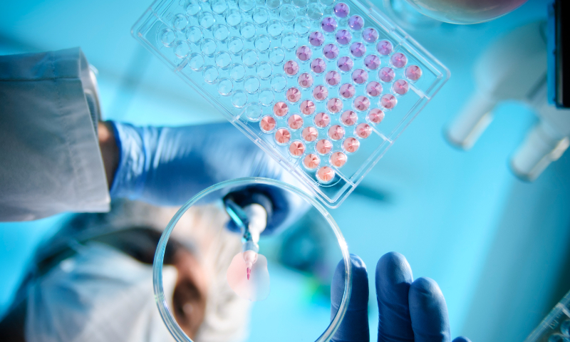 A concept photo of the research and development of drugs Illustration: VCG