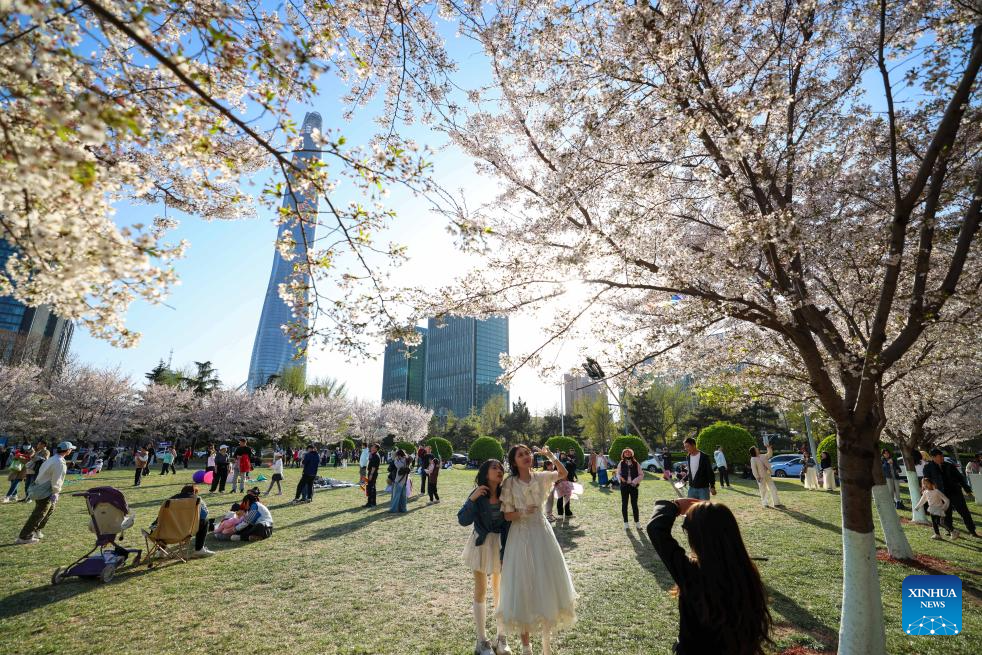 People enjoy leisure time during the Qingming Festival holiday in Binhai New Area of north China's Tianjin, April 5, 2026. (Xinhua/Sun Fanyue)