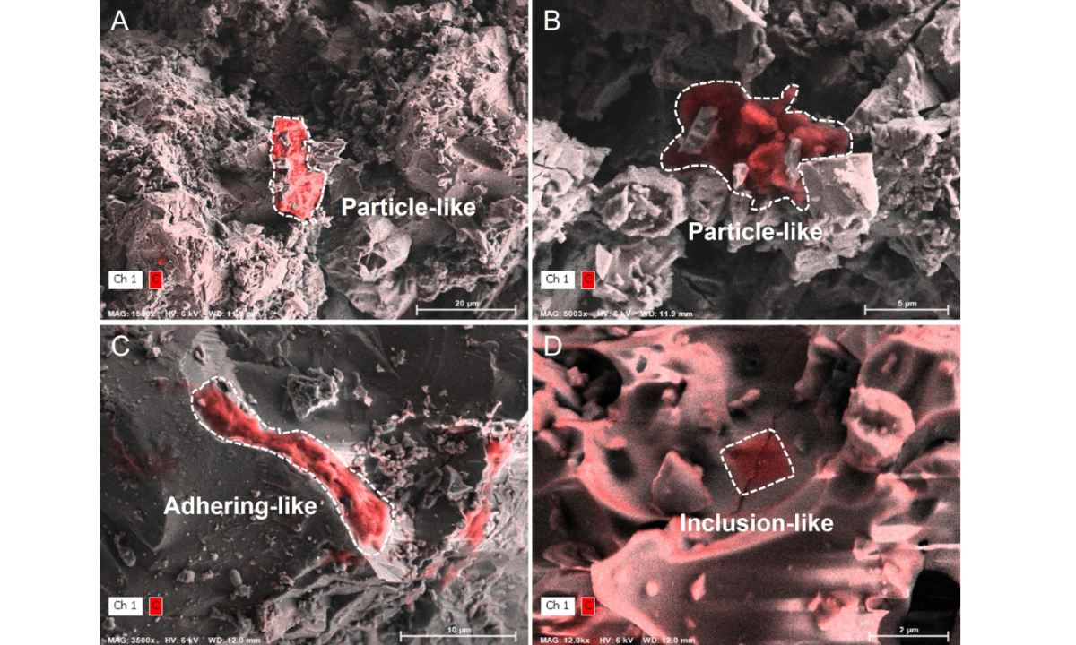Representative organics identified in Chang’e-5 and Chang’e-6 lunar samples Photo: Courtesy of Institute of Geology and Geophysics, Chinese Academy of Sciences