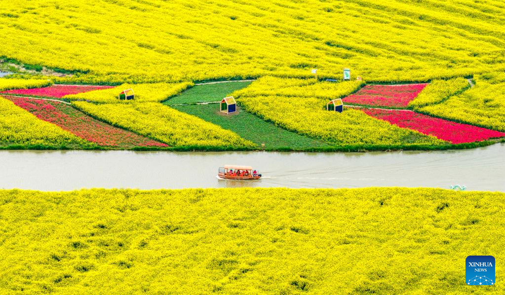 An aerial drone photo taken on April 4, 2026 shows people taking a boat for sightseeing at a flower-themed scenic area during the Qingming Festival holiday in Gaoyou City, east China's Jiangsu Province. (Photo by Zhou Shegen/Xinhua)