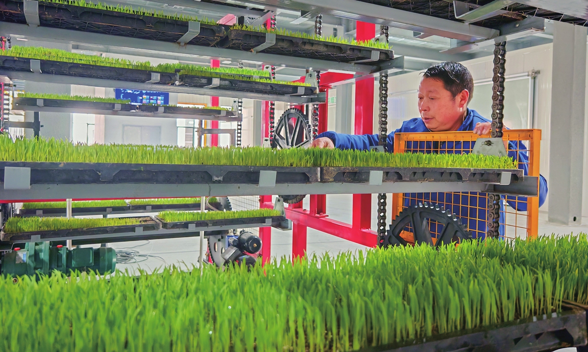 A staff member works in the seedling nursery and sowing workshop at an agricultural comprehensive service center in Xiaogan, Central China's Hubei Province, on February 26, 2026. The center is equipped with circulating seedling machines, a smart digital seedling cultivation platform, and a high-speed seedling production line. By integrating resources through the digital platform, it injects new momentum into spring farming production. Photo: VCG