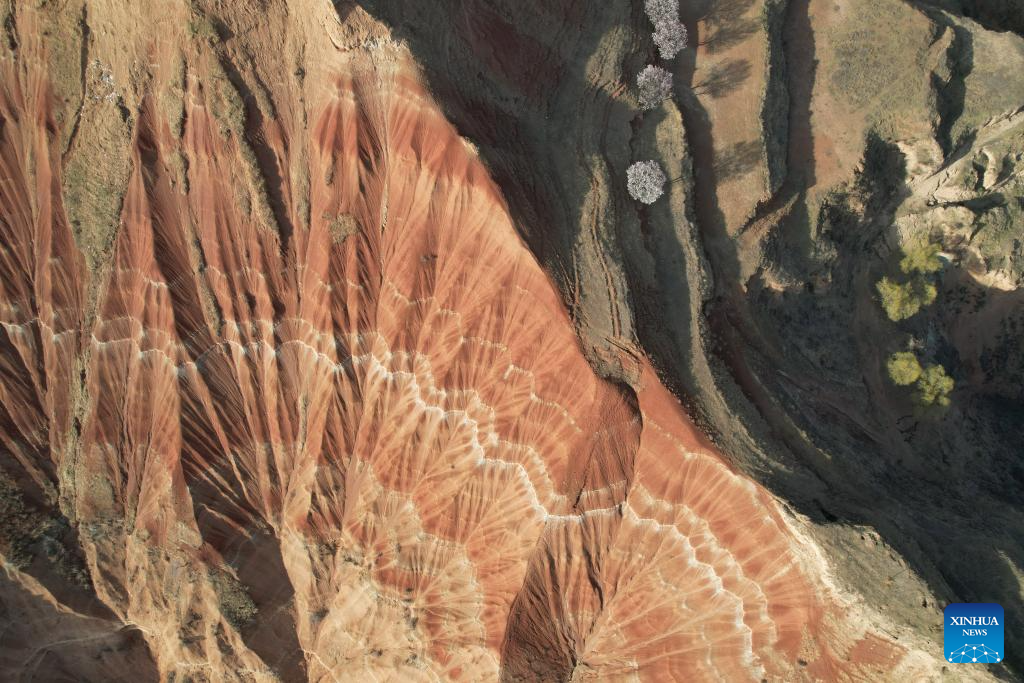 An aerial drone photo taken on April 3, 2026 shows a view of the Danxia Landform in Dongyuan Town of Dongxiang Autonomous County, Linxia Hui Autonomous Prefecture, northwest China's Gansu Province. (Xinhua/Zhang Zhimin)