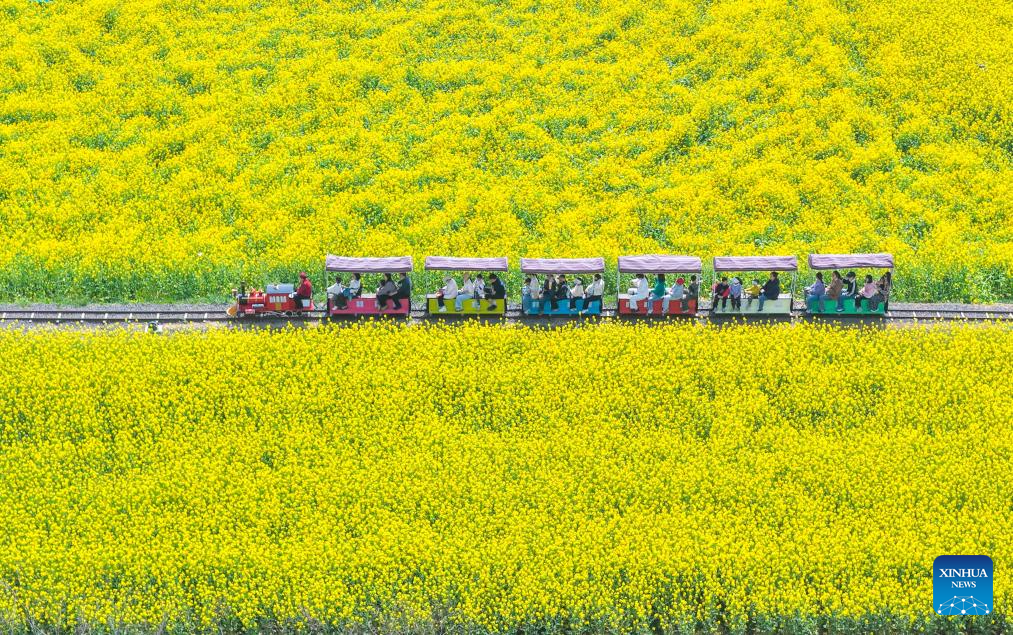 An aerial drone photo taken on April 4, 2026 shows people taking a boat for sightseeing at a flower-themed scenic area during the Qingming Festival holiday in Gaoyou City, east China's Jiangsu Province. (Photo by Zhou Shegen/Xinhua)