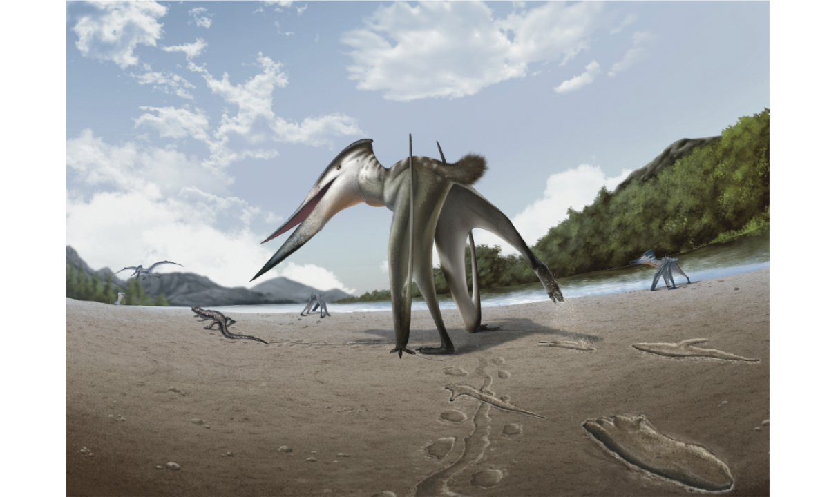 Reconstruction of the Jinju pterosaur