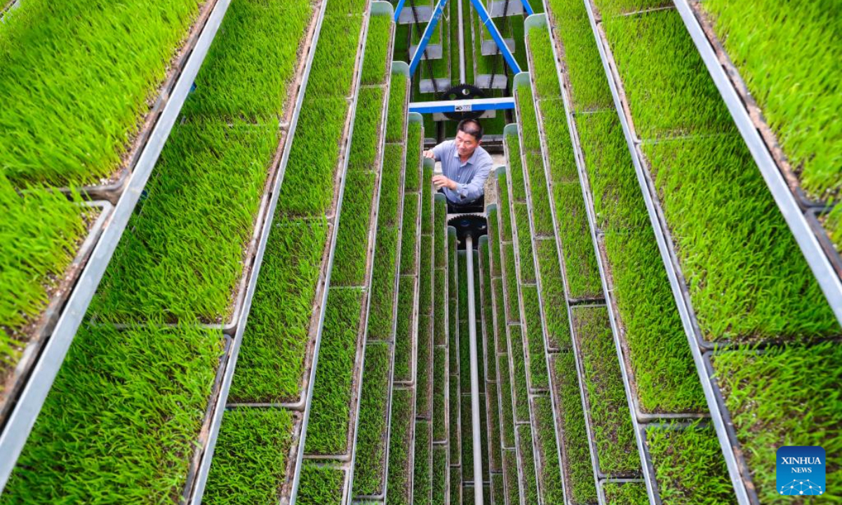 A staff member tends rice seedlings at an intelligent seedling factory in Guangshan County of Xinyang City, central China's Henan Province, April 6, 2026. (Photo by Xie Wanbo/Xinhua)