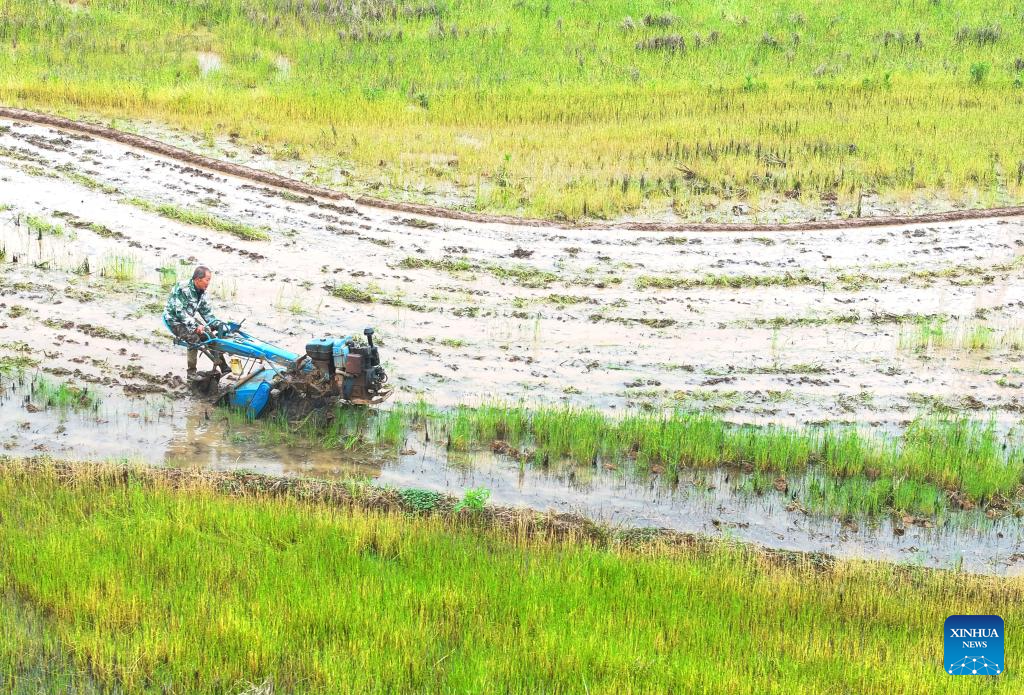 A drone photo taken on April 7, 2026 shows a villager plowing rice fields in Shitan Township of Hengdong County in Hengyang, central China's Hunan Province. (Photo by Cao Zhengping/Xinhua)