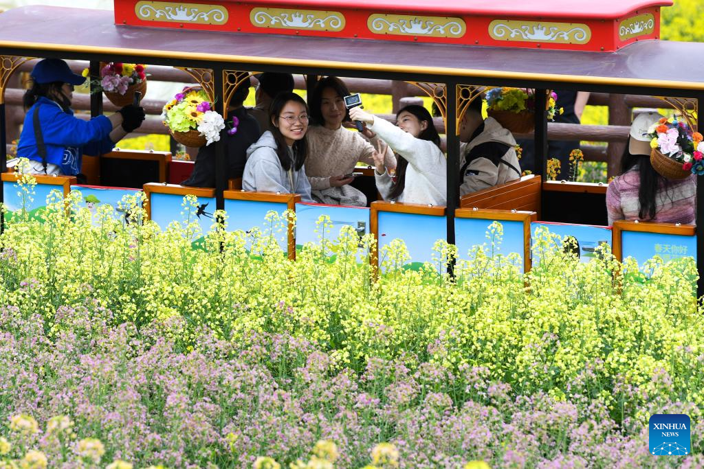 People take a sightseeing train at a scenic spot in Huangtang Village, Hanzhong City of northwest China's Shaanxi Province, March 27, 2026. As rapeseed flowers bloom across Hanzhong, the city has launched 15 flower-themed sightseeing routes for visitors, integrating local cuisine, camping, intangible cultural heritage performances and art study tours into tourism, boosting the development of local 