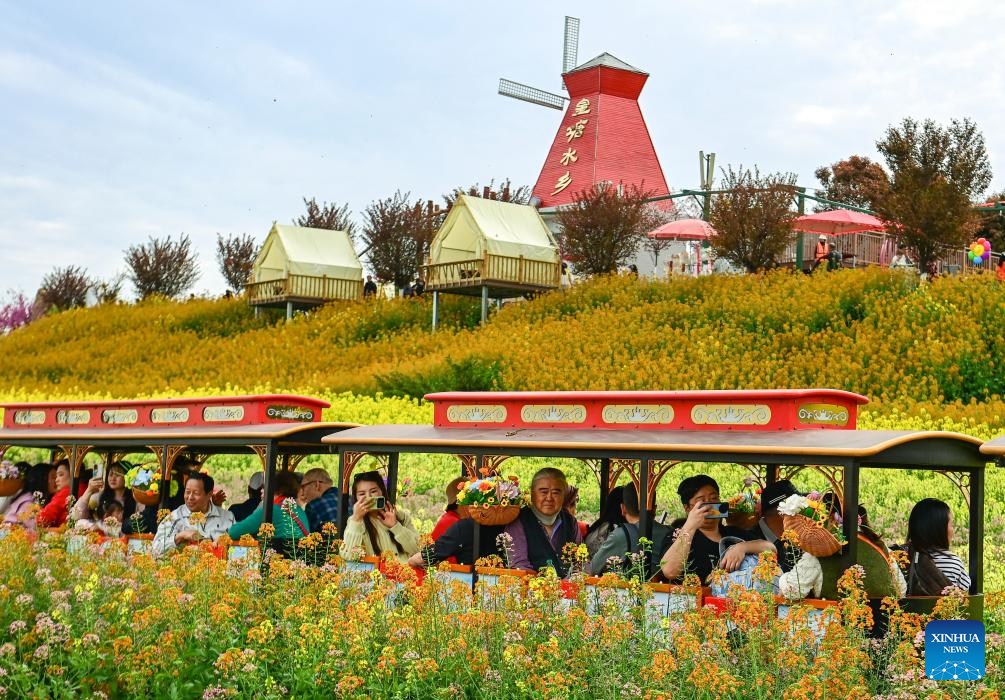 People take a sightseeing train at a scenic spot in Huangtang Village, Hanzhong City of northwest China's Shaanxi Province, March 27, 2026. As rapeseed flowers bloom across Hanzhong, the city has launched 15 flower-themed sightseeing routes for visitors, integrating local cuisine, camping, intangible cultural heritage performances and art study tours into tourism, boosting the development of local 