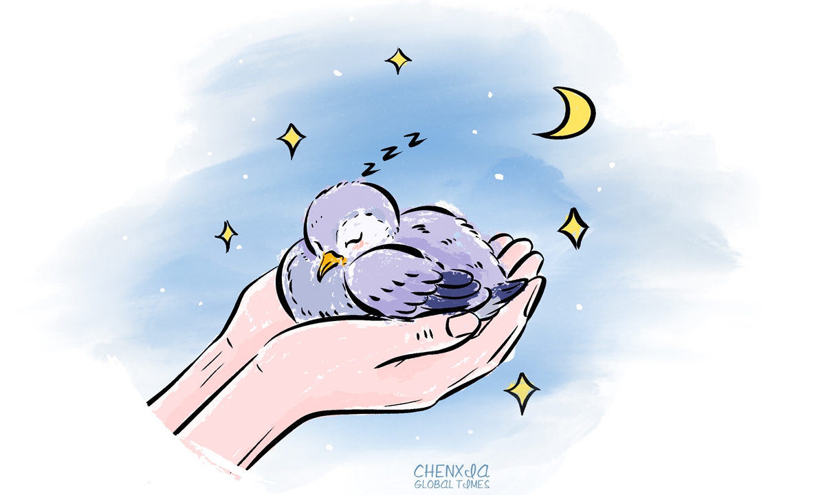 Illustration: Chen Xia/GT