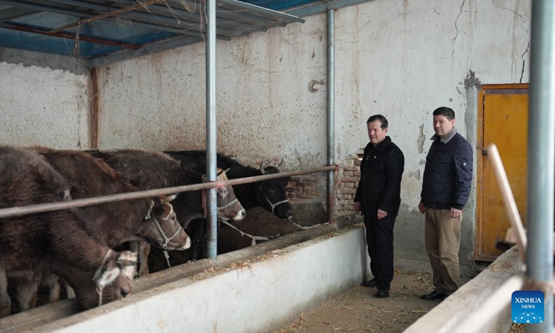 Musajan Khairat (L) inspects a shed of a local villager in Keregetas Village, Xinyuan County of Ili Kazak Autonomous Prefecture, northwest China's Xinjiang Uygur Autonomous Region, Feb. 9, 2026. Photo: Xinhua
