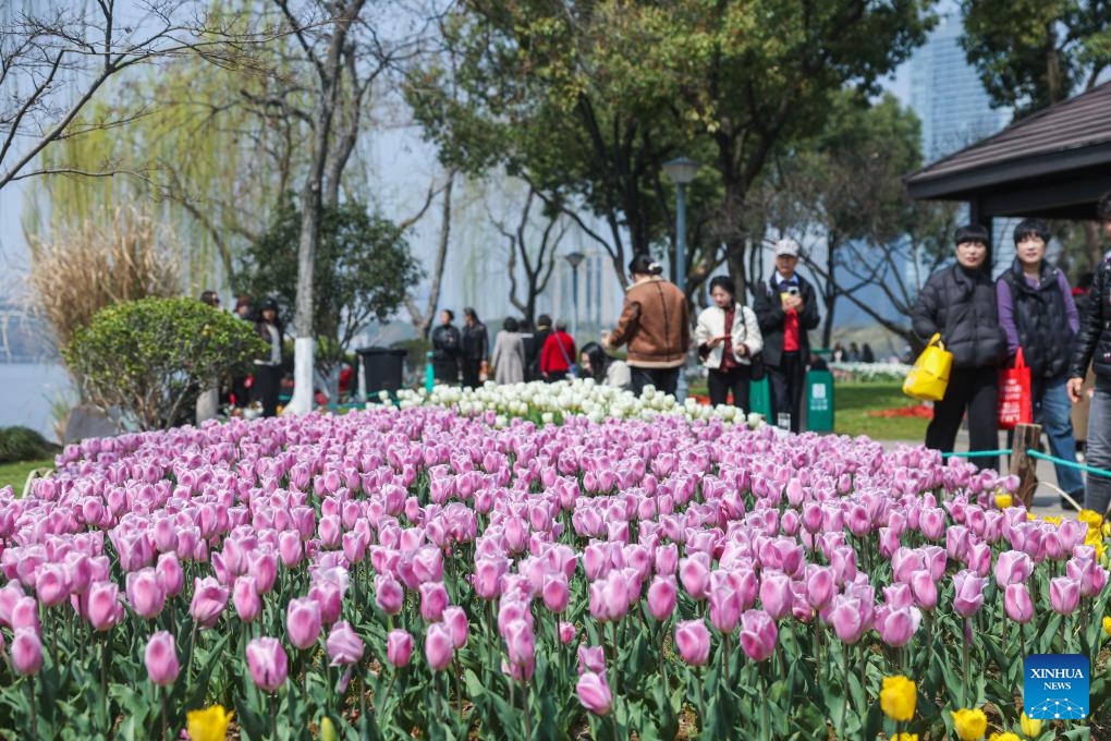 Tourists view flowers by Guazhu lake in Shaoxing, east China's Zhejiang Province, March 13, 2026. (Xinhua/Xu Yu)

