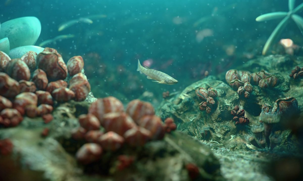 A bony fish illustration Photo: Courtesy of Zhu Youan