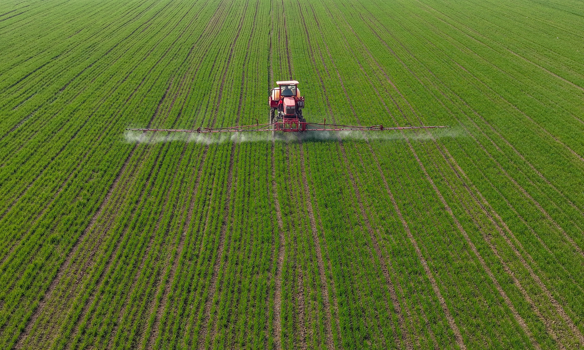 Farmers drive self-propelled boom sprayers to weed wheat fields in Bozhou, East China's Anhui Province on March 10, 2026. Photo: VCG