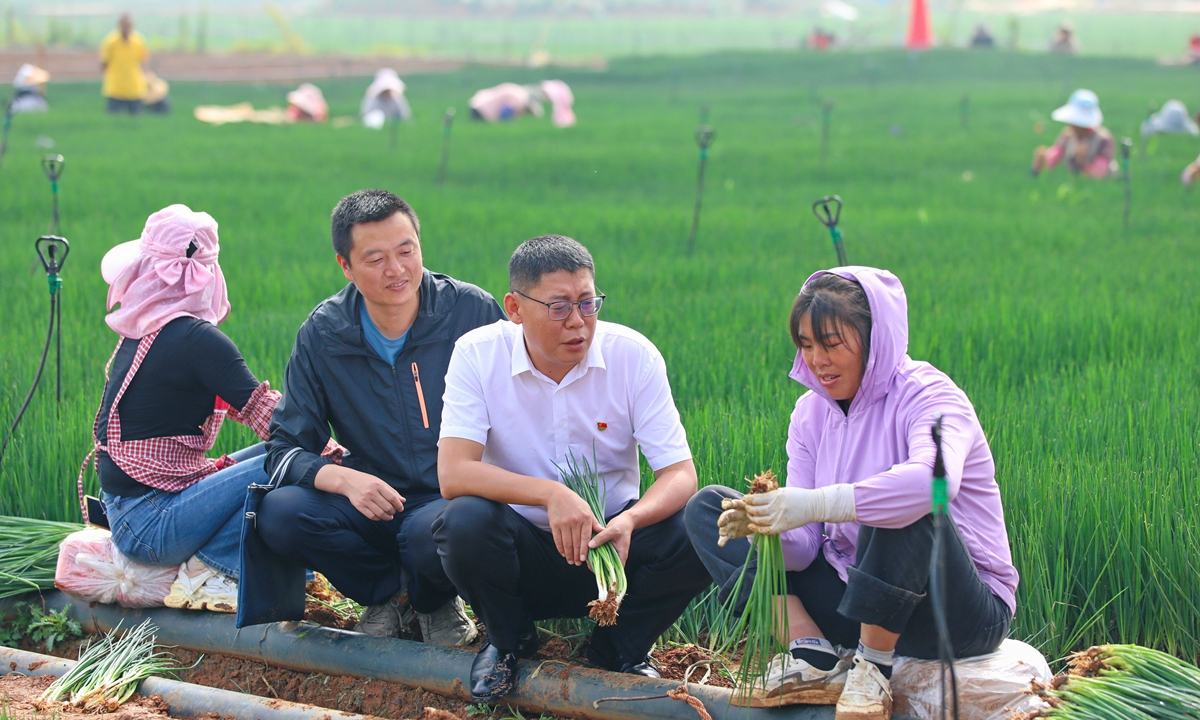 Discipline inspection and supervision officials from Luliang County visit local residents in Damogu Township, Southwest China's Yunnan Province, to learn about the implementation of farmer-benefiting policies and the work style of village officials on August 1, 2025. Photo: VCG