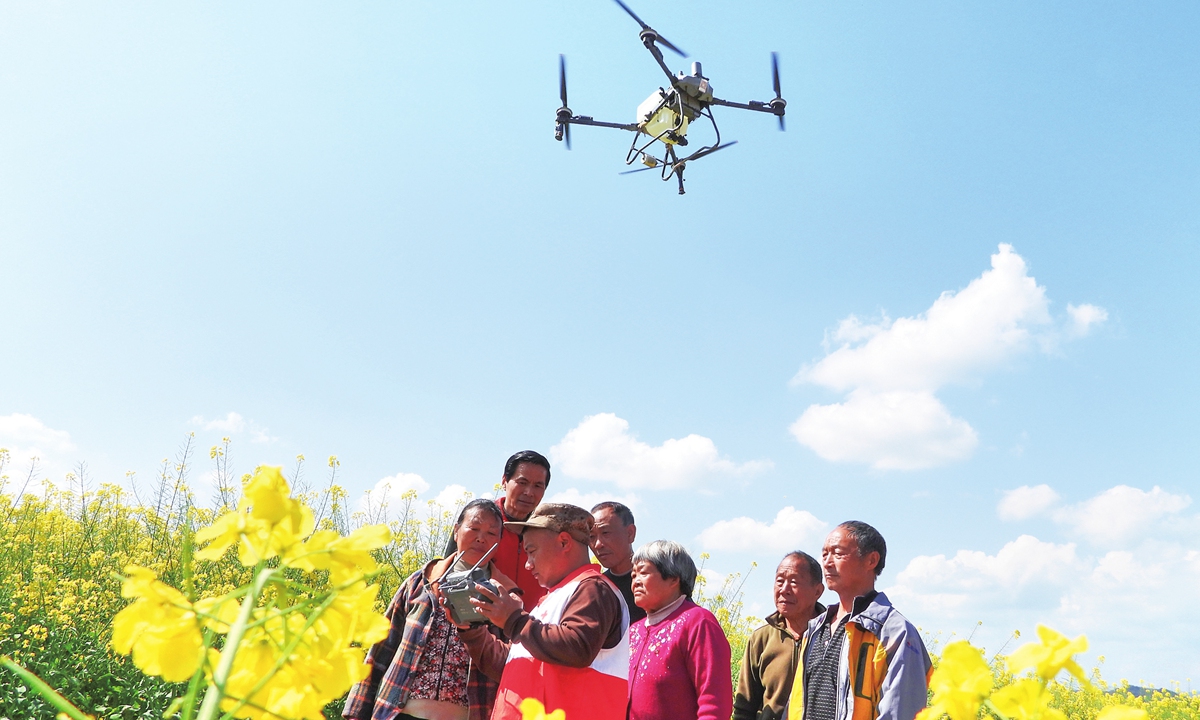 Agricultural technicians operate a plant protection drone to spray fertilizer in a rapeseed field in Quxian County, Dazhou, Southwest China's Sichuan Province, on March 10, 2026. As rapeseed and wheat enter a crucial stage of field management, local authorities are helping farmers boost crop yields and increase incomes. Photo: VCG