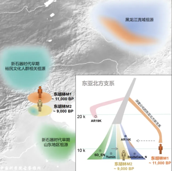 Photo: Institute of Vertebrate Paleontology and Paleoanthropology, Chinese Academy of Sciences