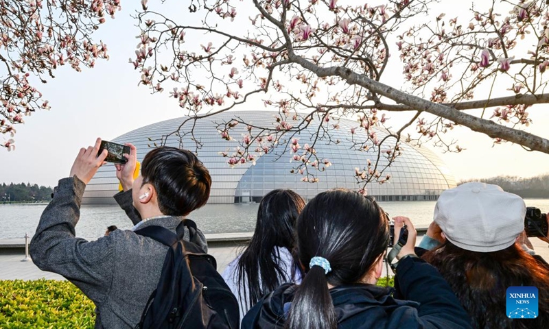 People take photos of magnolia blossoms near the National Center for the Performing Arts in Beijing, capital of China, March 12, 2026. Photo: Xinhua