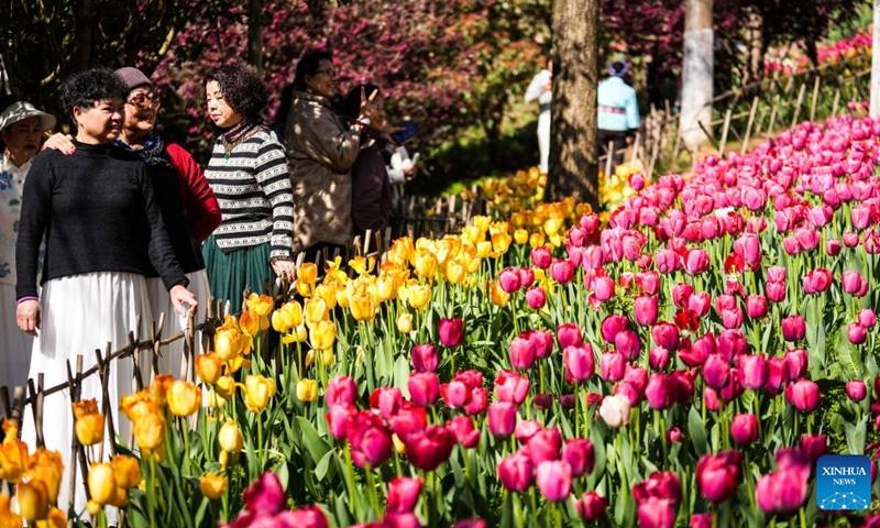 Tourists view tulips at Longjiashan National Forest Park in Longli County, southwest China's Guizhou Province, March 12, 2026. (Xinhua/Tao Liang)