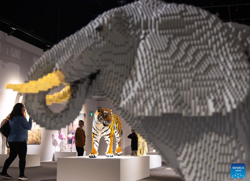 People view artworks during the exhibition Art of the Brick in Toronto, Canada, on March 12, 2026. Showcasing over 130 artworks and constructions made out of more than one million LEGO bricks, this art exhibition is held here from March 5 to May 31. Photo: Xinhua