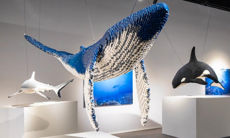 Artworks are seen during the exhibition Art of the Brick in Toronto, Canada, on March 12, 2026. Showcasing over 130 artworks and constructions made out of more than one million LEGO bricks, this art exhibition is held here from March 5 to May 31. Photo: Xinhua