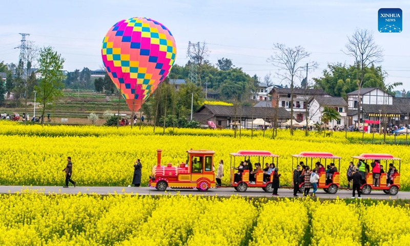 A drone photo taken on March 8, 2026 shows tourists enjoying rapeseed flowers in Huaqiao Town of Guang'an City, southwest China's Sichuan Province. Photo: Xinhua