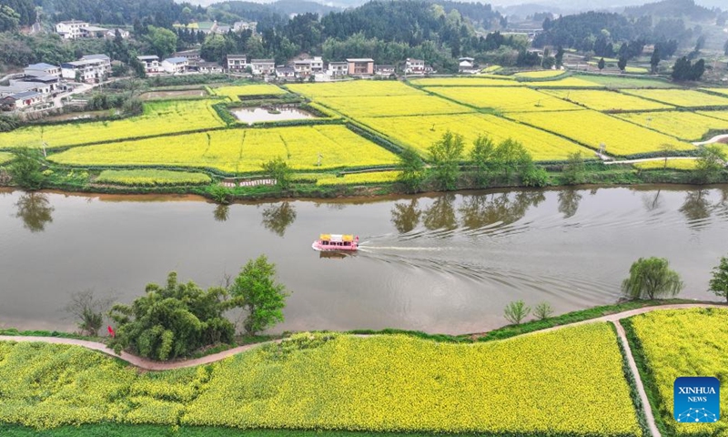 An aerial drone photo taken on March 12, 2026 shows tourists enjoying the scenery of rapeseed flowers by boat at Chongkan scenic spot in Tongnan District, southwest China's Chongqing Municipality. Photo: Xinhua
