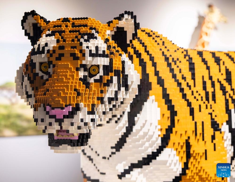 An artwork is seen during the exhibition Art of the Brick in Toronto, Canada, on March 12, 2026. Showcasing over 130 artworks and constructions made out of more than one million LEGO bricks, this art exhibition is held here from March 5 to May 31. Photo: Xinhua