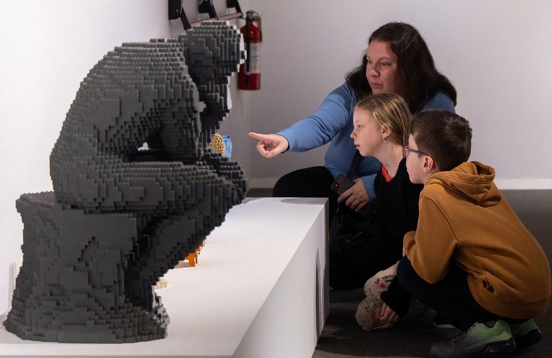 People view artworks during the exhibition Art of the Brick in Toronto, Canada, on March 12, 2026. Showcasing over 130 artworks and constructions made out of more than one million LEGO bricks, this art exhibition is held here from March 5 to May 31. Photo: Xinhua