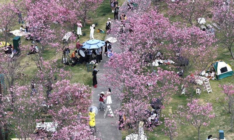This aerial drone photo taken on March 14, 2026 shows people viewing flowers at Qingxiushan scenic area in Nanning, south China's Guangxi Zhuang Autonomous Region. (Xinhua/Zhou Hua)